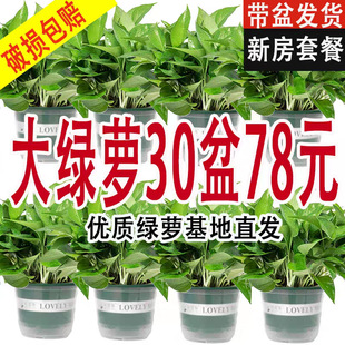 180��G�}���Ի������lˮ���L�پG�}�҃ȾGֲС�G�jС����