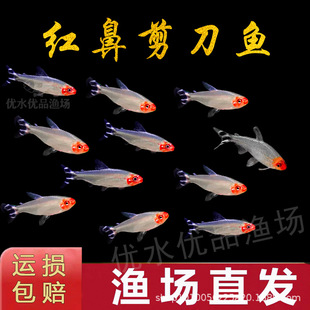 �t�Ǽ����~Ⱥ�Ο����~С���~�Ꭷ�^�p�~ˮ�ݸ׼t�G����O�����l