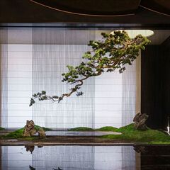 精品倒挂松树悬挂式迎客松中式玄关景观橱窗绿植造景大型摆件装饰
