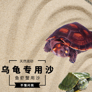 Tortoise hibernating sand fish tank bottom sand river turtle hibernating sand stone sand egg hatching crab pet