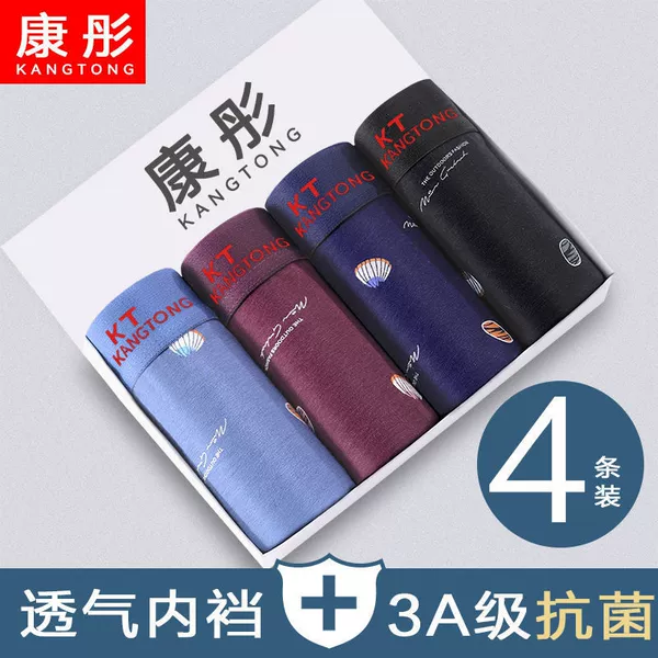 4 packs - Shell
