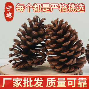Christmas American pine nuts American slash pine pendant diy handmade decorative props American pine wholesale