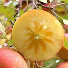 [ͨ]Ĵɽ}ԴOOtʿ֭5/8