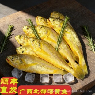 �V���������S���~���S�����r�rС�S���~���rС�S�~��������S���l