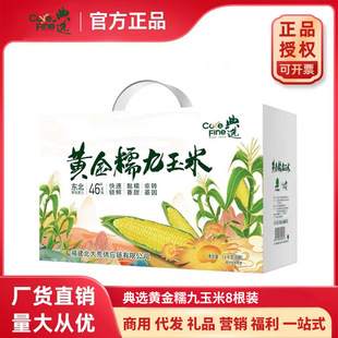 ���x�S��Ŵ������8���bŴ����