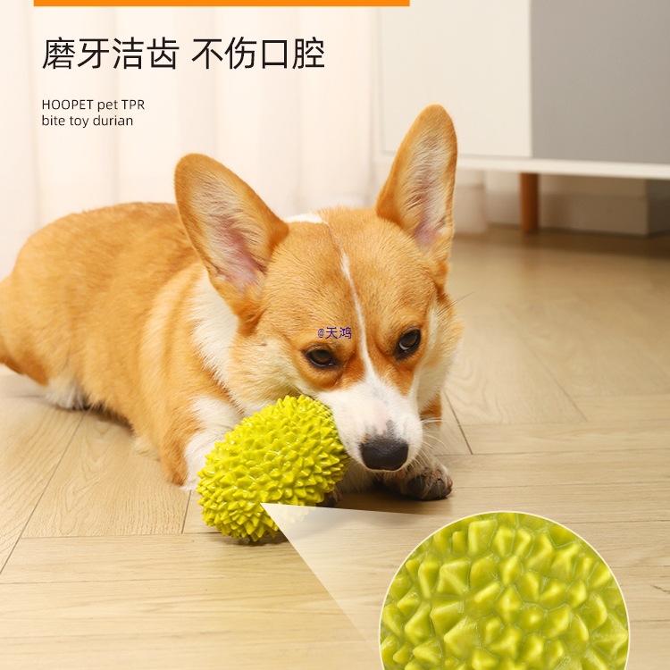 Dog Teething Toy, Bite-Resistant and Boredom-Relieving Pet Puppy, Corgi Bichon, Small Size Dogs, Durian Sound Ball