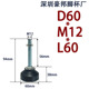 Nylon fixed D60 * M12 * L60 galvanized screw