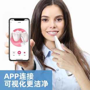 Factory Direct Sales Smart Tooth Beauty Instrument to Remove Tartar Hd Visual Tooth Cleaner Electric Ultrasonic Tooth Cleaner