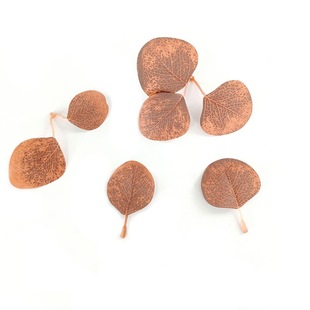Simulated Money Leaf Eucalyptus Cross-Border Supply Wedding Flower Arrangement Accessories Single Leaf Wholesale