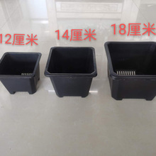 Ӻ跽ϰ׷  Сͻܻ 12׶Nֲڷ