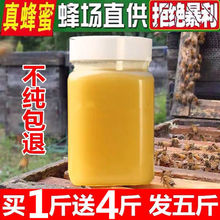 ]IһԮaNȻҰ۰ٻ۷{50