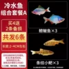 [Cold water fish combination] tall catfish + striped barbel, 6 fish in total