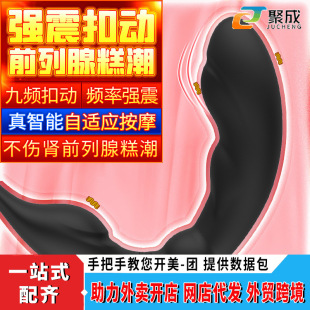 Shander S392-2 sex toys double-ring back court pull bead lock seminal ring back court prostate massager adult