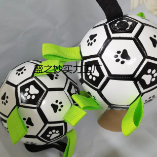 С������߹�����ҧ�␞�»�ȮС����Ȯ���ӌ�������l���l��