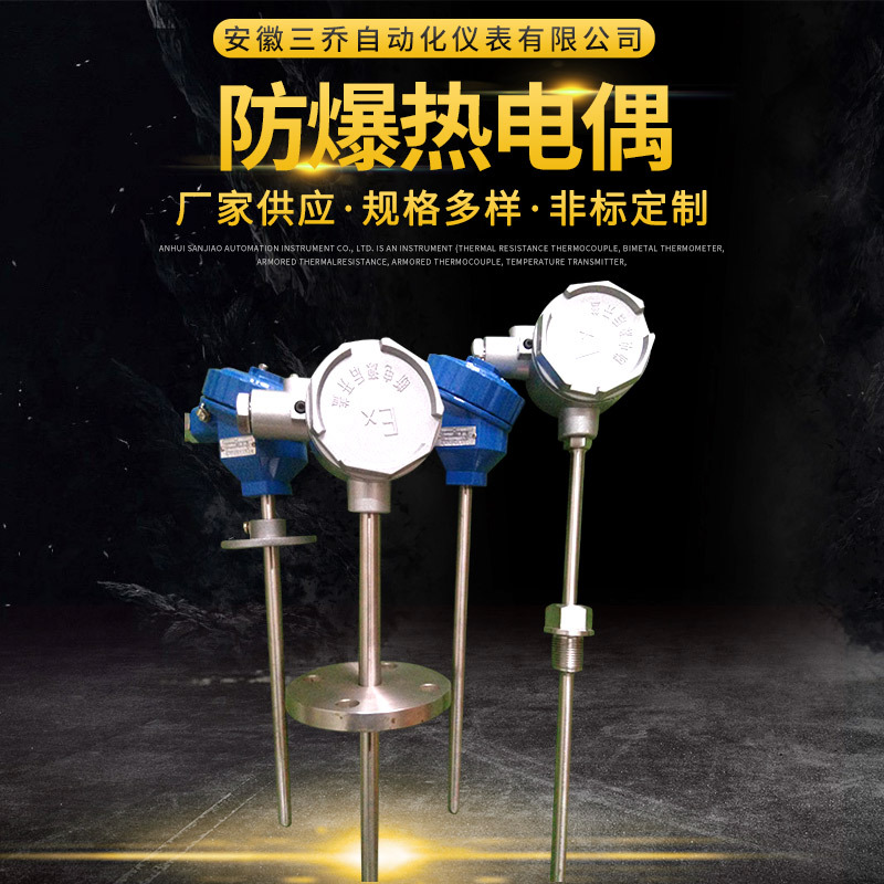 供应热电偶 隔爆热电偶WRN-240 WRNK-440 BT4 CT4 CT6 可非标生产
