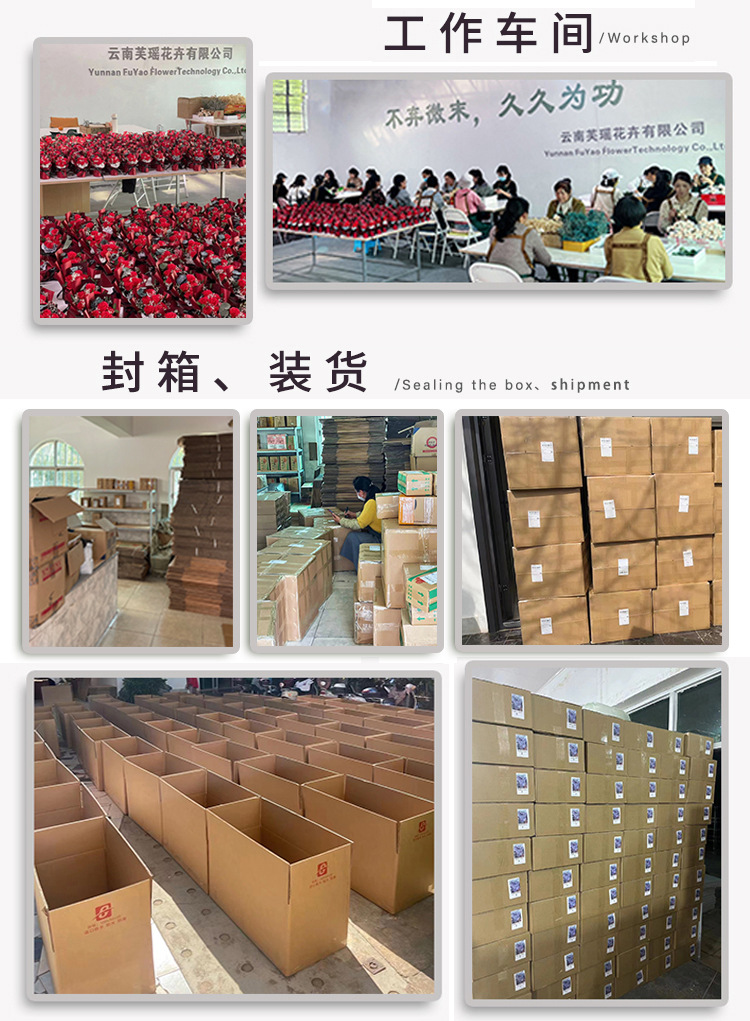详情页_01