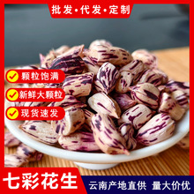 云南七彩花生米农科院云南富硒黑花生2025年新产原味花生现货批发