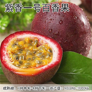 ľ�ϰ�������S�������� ̨�������۽��۰�������ļ��Y������