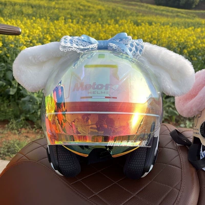 Helmet Decoration Cat Ear Motosiklet dəbilqələri - cinnamon-dog-blue-helmet-not-included