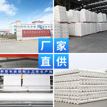 透水反滤无纺布工程专用防尘盖土非织造工程布白色加厚加筋土工布