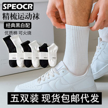 包邮诸暨袜业棉袜吸汗男袜代发休闲纯色运动黑白白袜男新疆长绒棉