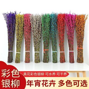 ���������y���滨�r֧���l �ɻ��ſɸɷſ�ˮ�Bֲ��1�� 1.2�� 1.5