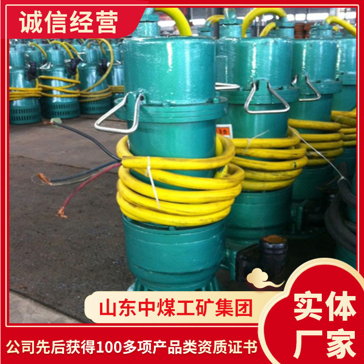 出售货源BQS矿用隔爆潜水泵 批发报价BQS矿用隔爆潜水泵 潜水泵