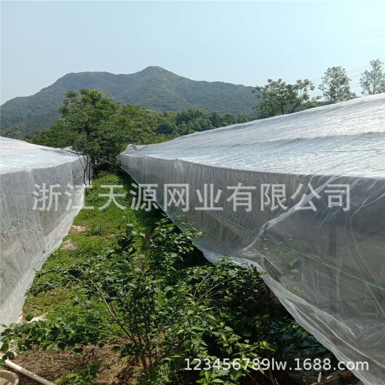 厂家直销供应防虫网 加厚农用蔬菜大棚果树网罩温室大棚