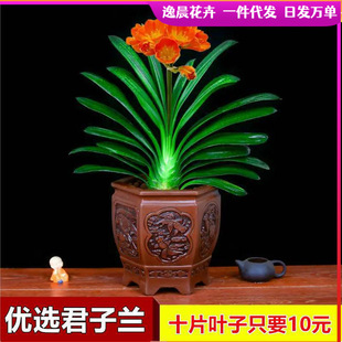 �����m�������玧�����ļ����B���ܾGֲ���҃��̨�A�^���д�С��