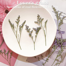 ˲ݸɻlֲ˱DIYֹ޹ϞTϰ 羳