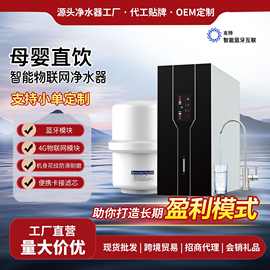 物联网净水器家用RO纯水机自来水过滤反渗透富氢净水器直饮净水机