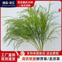 ������J�����L֦��ѿ�ٻ��׾Gɭϵ��c�b�·����c�ò���