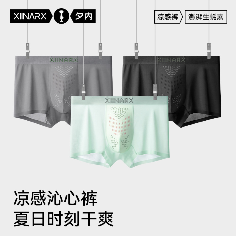 Men's Thin Transparent Underwear Ultra-Thin Four-Corner 2025 New Cool and Quick-Drying Men's Underwear Warm Boxer Briefs