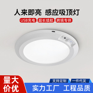 Human body induction ceiling lamp wiring-free indoor people to light up Amazon cross-border explosions USB charging induction lamp