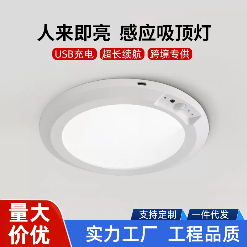 人体感应吸顶灯免布线室内人来即亮亚马逊跨境爆款USB充电感应灯
