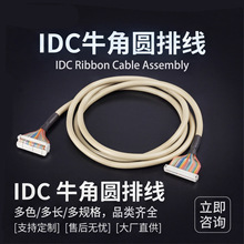 工厂定制IDC2.54圆排线 牛角头排线 10芯20芯26芯50芯 PLC I/O 线