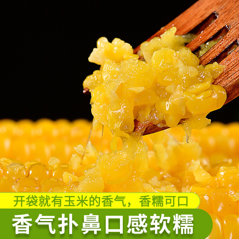 Directly Supplied from the Manufacturer: 10 Sticks of Northeastern Yellow Glutinous Corn, Black Corn, Sticky, Fresh, Non-Gmo, Non-Organic Food, Free Shipping