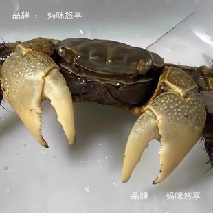 ��������з����С�з�^�pз���l����з����з��ˮз����з��