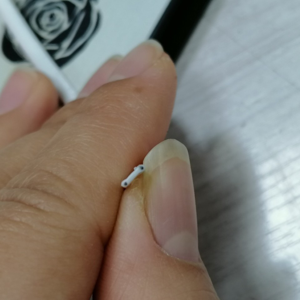 双芯 鼻梁骨