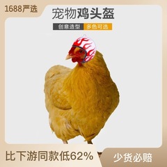 嚴選亞馬遜創意新品搞笑保護雞頭盔母雞帽鳥帽子頭套寵物用品批發