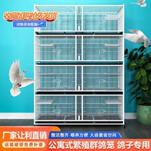 ���ӻ\�����Bֳ�\������������Ԫ���\��ʳ�۷�������÷N���䌦�\