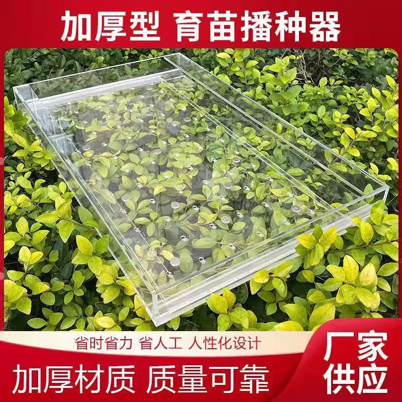 播种器辣椒加厚播种新款压孔器育苗盘播种器多功能漂浮育苗盘|undefined