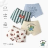 N191‌‌Small Crocodile‌Underwear (Boy)