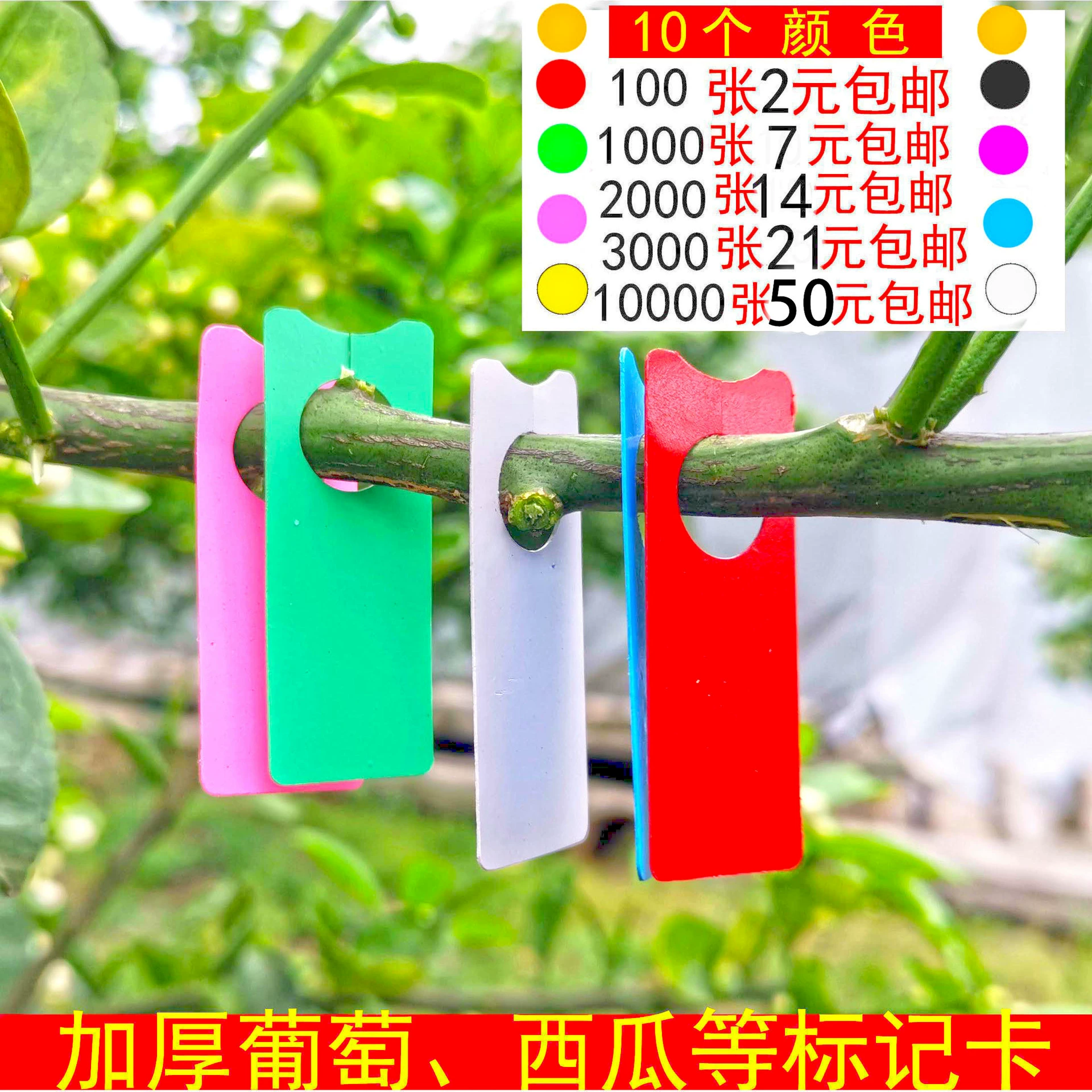 Для Amazon виноград арбуз отметьте карту цвет сад цвет карта растительная бирка арбуз бирка карта кольцо Пряжка логотип