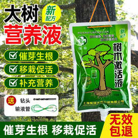 大树营养液树木吊针液果树输液袋移栽激活浓缩肥料植物生根通用型