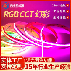 840灯RGBCCT幻彩COB灯带RGBCW五合一可寻址灯带跑马追光流水幻彩