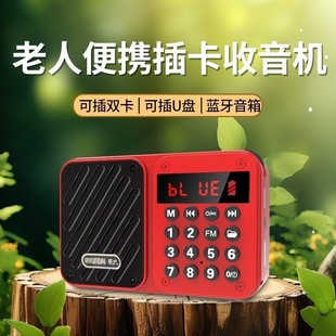 Modern 837 Bluetooth Dual Card Timed Shutdown Radio Multi-Function Audio Mini Player Broadcast Singing Machine