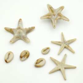 亚克力仿贝壳异形单孔海星星星贝壳纽扣 吊坠吊钟手机壳发饰品diy