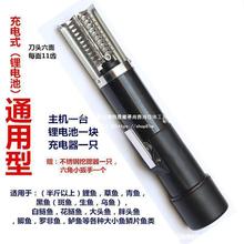 Oʽ늄ӹ[Co~[ˢ~Cȥ[ߏSֱN