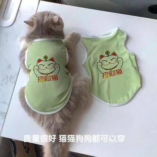 Cat and Dog Clothes Summer Pet Ragdoll Cat Anti-Shedding Thin Breathable Cute Cool Vest Dropshipping